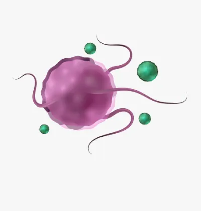 紫色の悪玉菌のイラスト